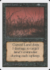 Cursed Land - Unlimited Edition #98