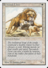 Savannah Lions - Unlimited Edition #39