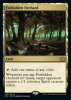 Forbidden Orchard - Double Masters 2022 #323
