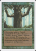 Ironroot Treefolk - Revised Edition #204