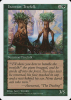 Ironroot Treefolk - Fifth Edition #305