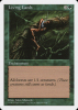 Living Lands - Fifth Edition #312