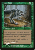 Lone Wolf - Seventh Edition #254★