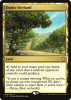 Exotic Orchard - Commander 2017 #249