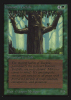 Ironroot Treefolk - Intl. Collectors’ Edition #204