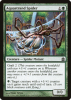 Aquastrand Spider - Magic: The Gathering-Commander #141