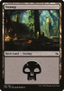 Swamp - Fate Reforged #181