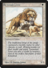 Savannah Lions - Limited Edition Beta #39