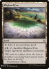 Blighted Fen - Mystery Booster #1658