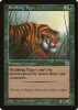 Stalking Tiger - Portal #186