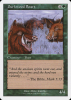 Durkwood Boars - Starter 2000 #38