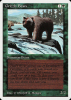 Grizzly Bears - Summer Magic / Edgar #201