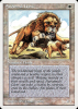 Savannah Lions - Summer Magic / Edgar #39
