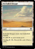 Secluded Steppe - Vintage Masters #314