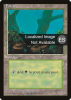 Forest - Fourth Edition Foreign Black Border #376