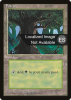 Forest - Fourth Edition Foreign Black Border #378