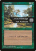 Tranquility - Fourth Edition Foreign Black Border #277