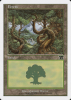 Forest - Classic Sixth Edition #347