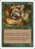 Stalking Tiger - Classic Sixth Edition #253