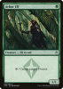 Arbor Elf - Masters 25 #160