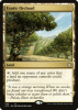 Exotic Orchard - Adventures in the Forgotten Realms Commander #236