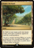 Exotic Orchard - Commander 2016 #295
