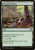 Tranquil Thicket - Commander 2021 #408