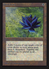 Black Lotus - Intl. Collectors’ Edition #233