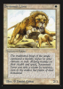 Savannah Lions - Intl. Collectors’ Edition #39
