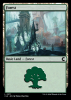 Forest - Ravnica: Clue Edition #271