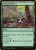 Tranquil Thicket - Commander Anthology 2018 #274