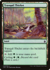 Tranquil Thicket - Commander Anthology #279
