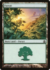 Forest - Magic: The Gathering-Commander #317