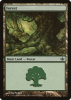 Forest - Duel Decks: Garruk vs. Liliana #31