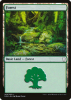 Forest - Dominaria #269