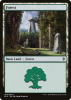 Forest - Throne of Eldraine #269