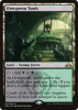 Overgrown Tomb - Guilds of Ravnica #253
