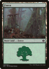 Forest - Duel Decks Anthology: Garruk vs. Liliana #29