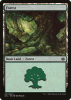 Forest - Duel Decks Anthology: Garruk vs. Liliana #31