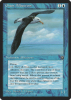 Giant Albatross - Homelands #27b