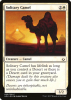 Solitary Camel - Hour of Devastation #23