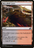 Bloodfell Caves - Ikoria: Lair of Behemoths #243