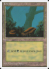 Forest - Introductory Two-Player Set #65