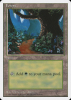 Forest - Introductory Two-Player Set #66