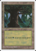 Forest - Introductory Two-Player Set #67