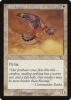 Suntail Hawk - Judgment #28