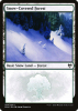 Snow-Covered Forest - Kaldheim #284