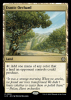 Exotic Orchard - Lost Caverns of Ixalan Commander #329