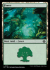 Forest - The Lost Caverns of Ixalan #401