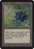 Black Lotus - Limited Edition Alpha #232